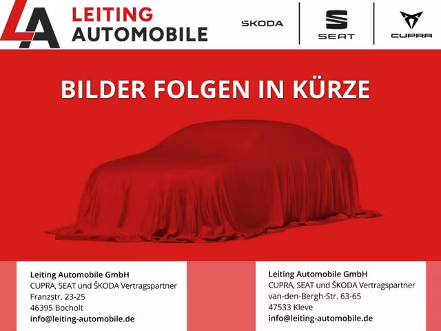 Cupra Formentor VZ 2.0 TSI 310 4x4