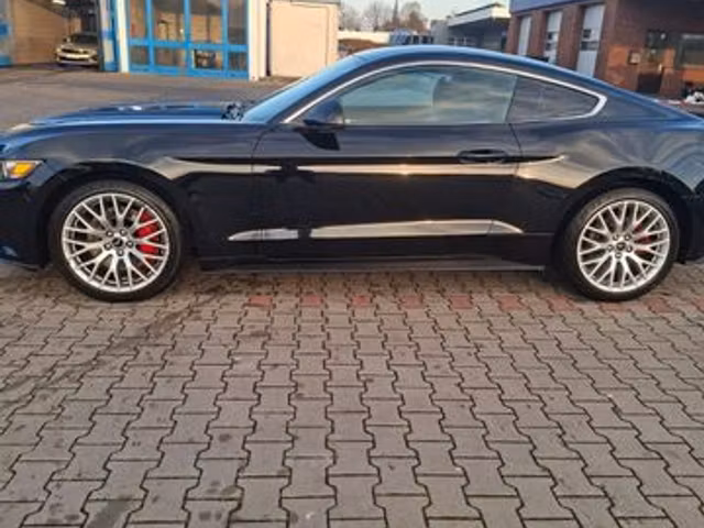 Ford Mustang Fastback 2.3 317