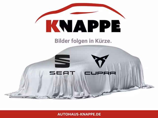 Cupra Formentor 2.0 TDI 150 4x4