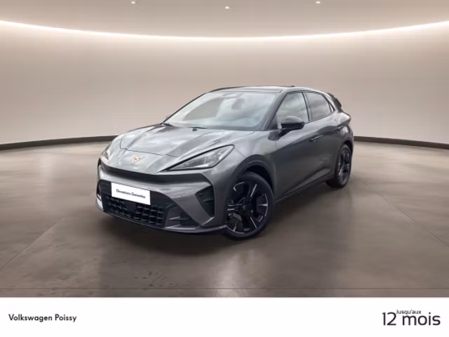Cupra Raval 