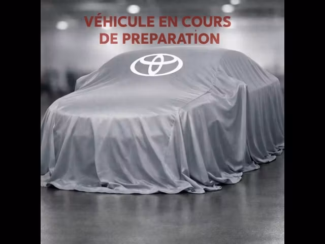 Toyota C-HR 2.0 225 Graphic