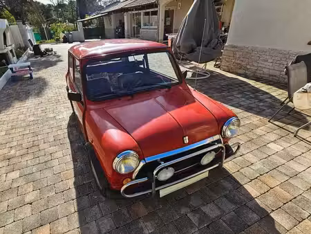 Mini Mini 