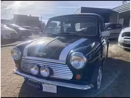 Rover Mini 1.3