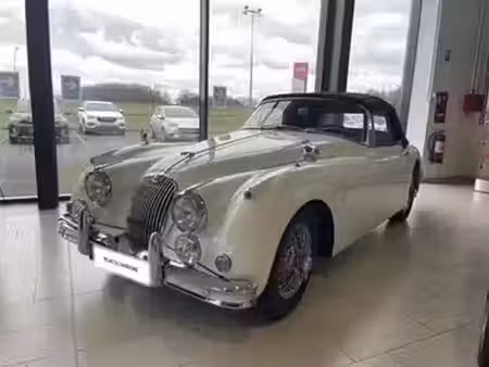 Jaguar XK 