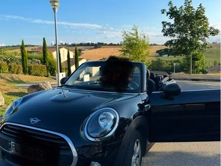 Mini Cabrio 102