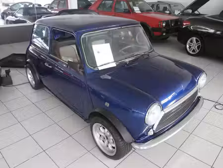 Mini Mini 1.0