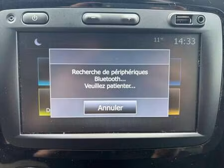 Renault Captur 1.0 TCe 100 Business