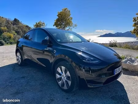 Tesla Model Y Standard 300