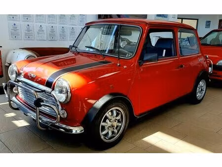 Mini Mini 1.0
