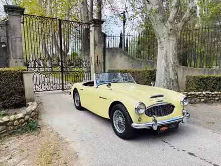 Austin-Healey 100