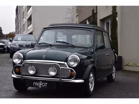 Rover Mini 1.3 53