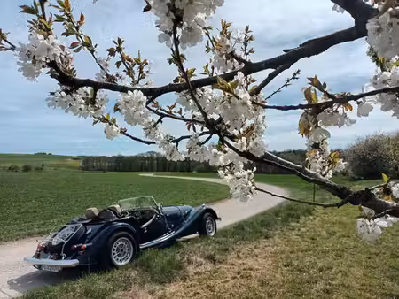 Morgan Plus-8 