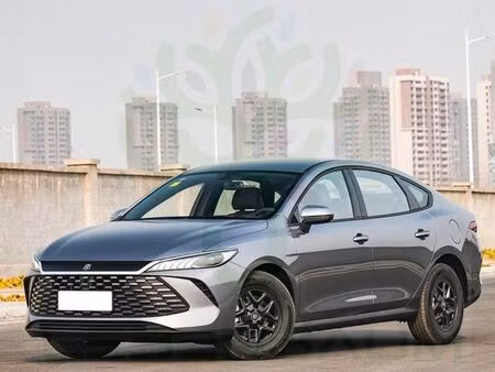 BYD QIN 