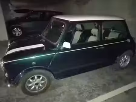 Rover Mini 1.3