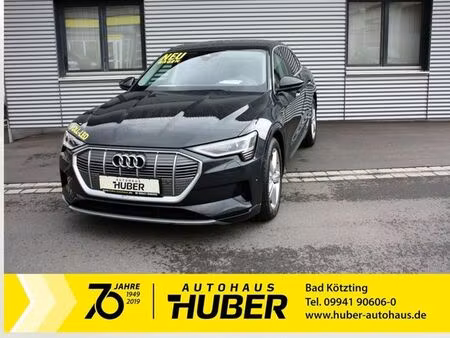 Audi e-tron 313 quattro