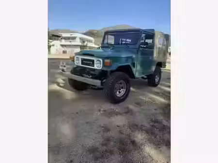 Toyota Land Cruiser 