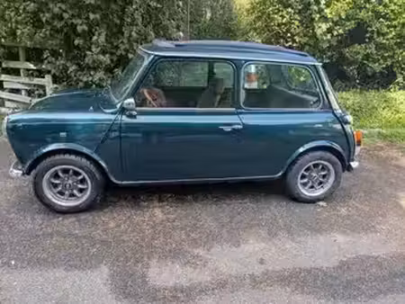 Rover Mini 1.0