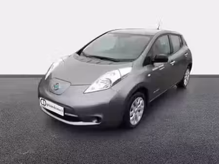 Nissan Leaf Flex 109 Visia