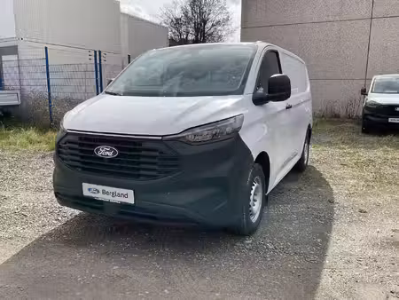 Ford Transit 2.0 110 Basis