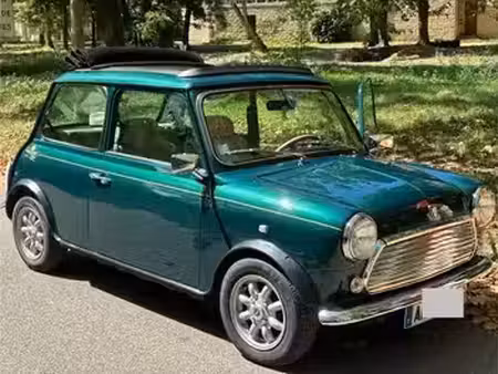 Rover Mini 1.3