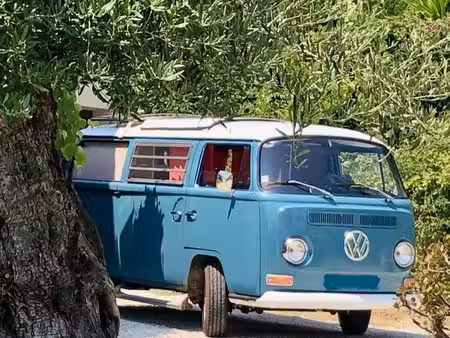 Volkswagen Combi T2 Westfalia