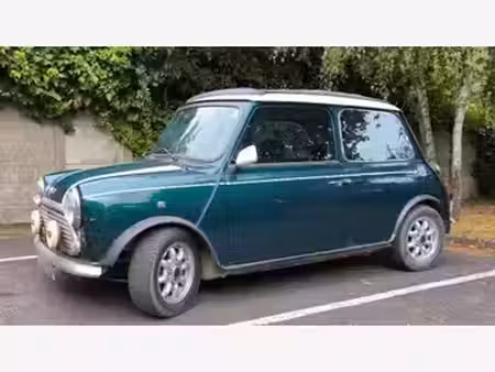 Rover Mini 1.3