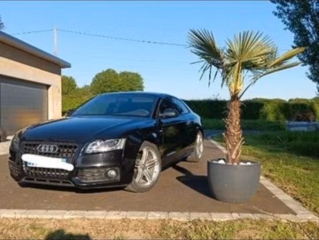Audi A5 2.0 TDI 170 S line