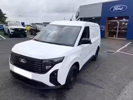 Ford Transit 1.5 100 Trend