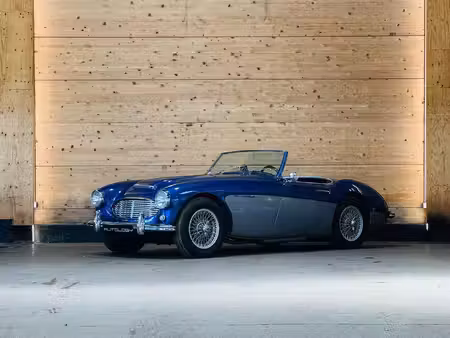 Austin-Healey 100