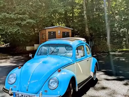 Volkswagen Beetle 1.2