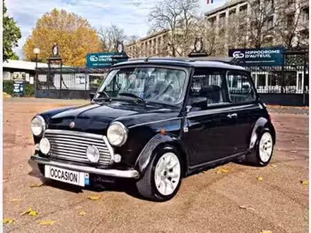 Rover Mini 1.3