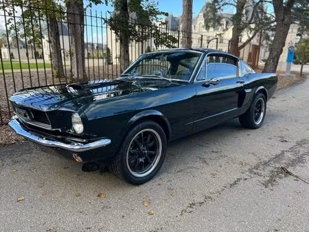Ford Mustang Fastback Collection