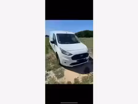 Ford Transit 1.5 Trend
