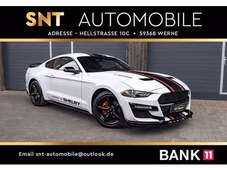 Ford Mustang Fastback 2.3 EcoBoost 314