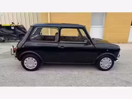 Rover Mini 1.3