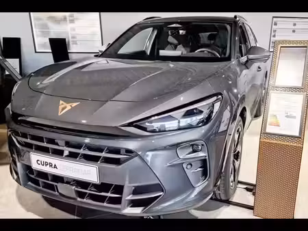 Cupra Terramar 1.5