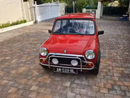 Mini Mini 