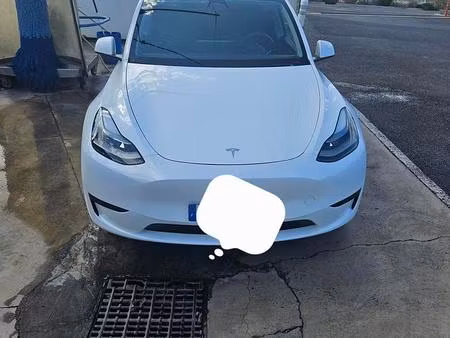 Tesla Model Y Standard 300