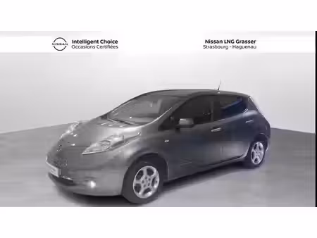 Nissan Leaf Flex 109