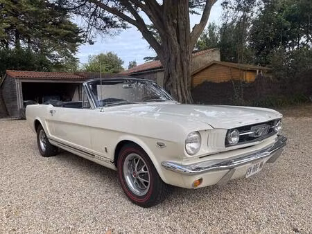Ford Mustang Cobra Collection