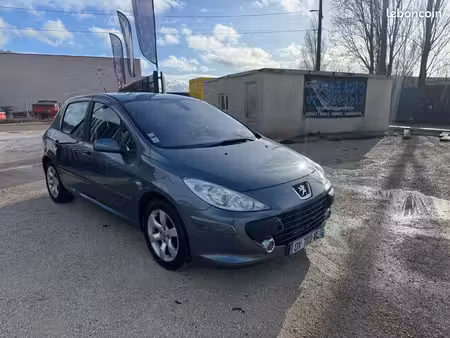 Peugeot 307 1.6 110