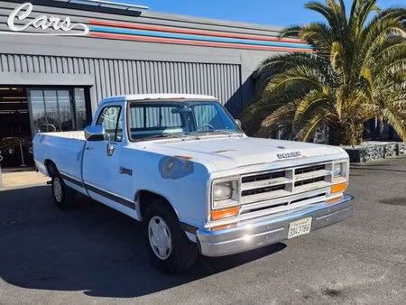 Dodge D Series 