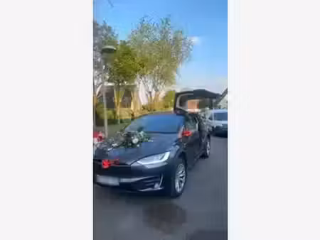 Tesla Model X Standard 422 4x4