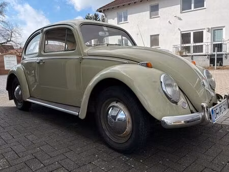 Volkswagen Beetle 