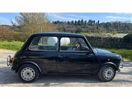 Mini Mini Classic