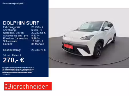 BYD Dolphin 156 Boost