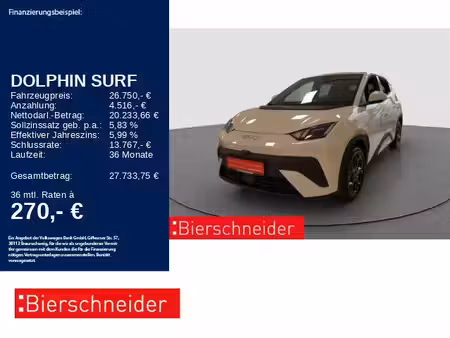 BYD Dolphin 156 Boost