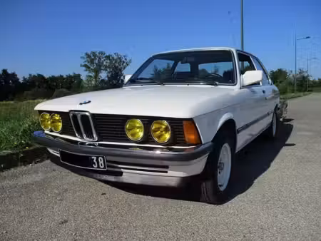 BMW Série 3 318i