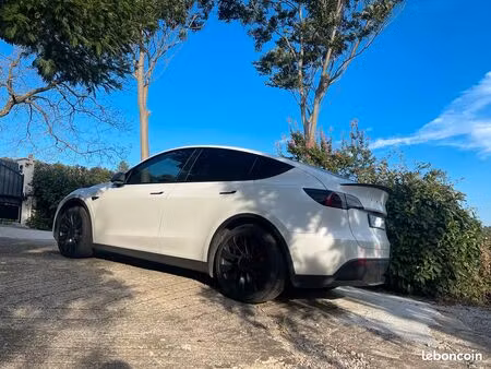 Tesla Model Y Performance 462 4x4