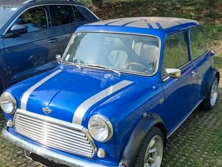 Rover Mini 1.3 53